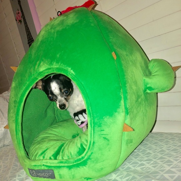 ISO DOG ITEMS - Picture 3 of 8